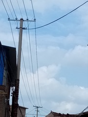 315567