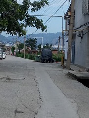 315569