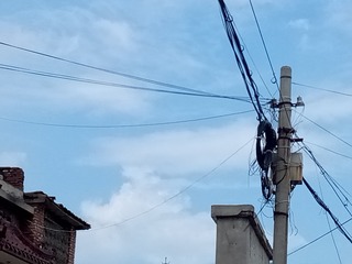 315574