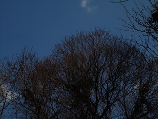 F092A0D6-95E5-432A-A72F-E011F8E8FA8D/L0/001