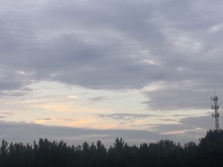 145206