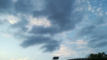 26050