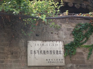 80033