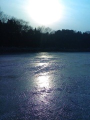 20080104753