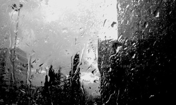 雨