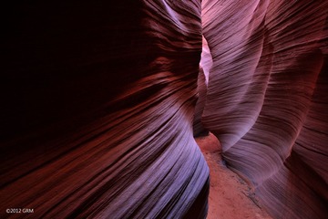 IMG_0831.jpg