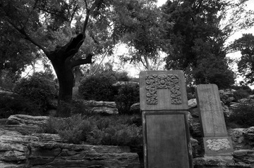 DSC_9668_BW