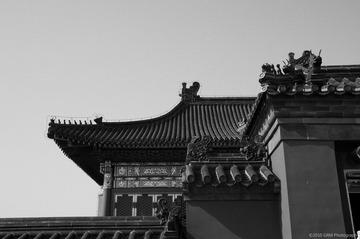DSC_9468_BW