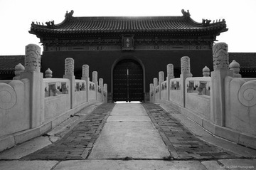 DSC_9529_BW
