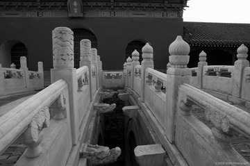 DSC_9549_BW