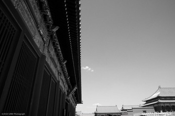 DSC_9586_BW