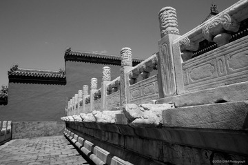 DSC_9592_BW