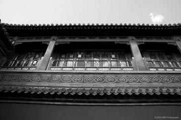 DSC_9623_BW