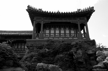 DSC_9629_BW