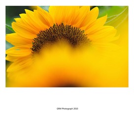 0029