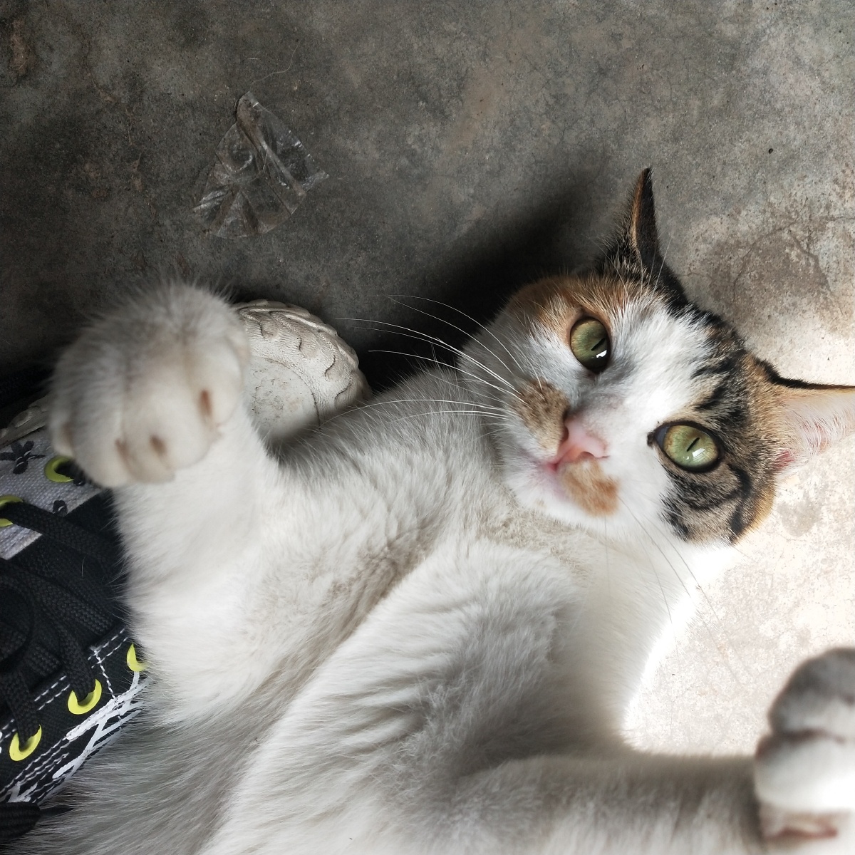 她的眼睛是不是很好看●v● - 克克丽丽贝雫