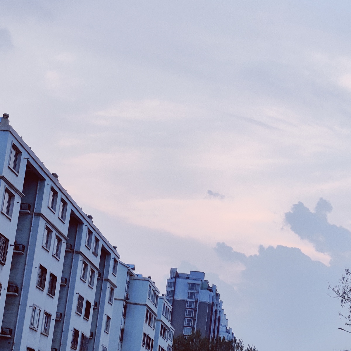 日常更新每次拍这些照片总是心情很平缓