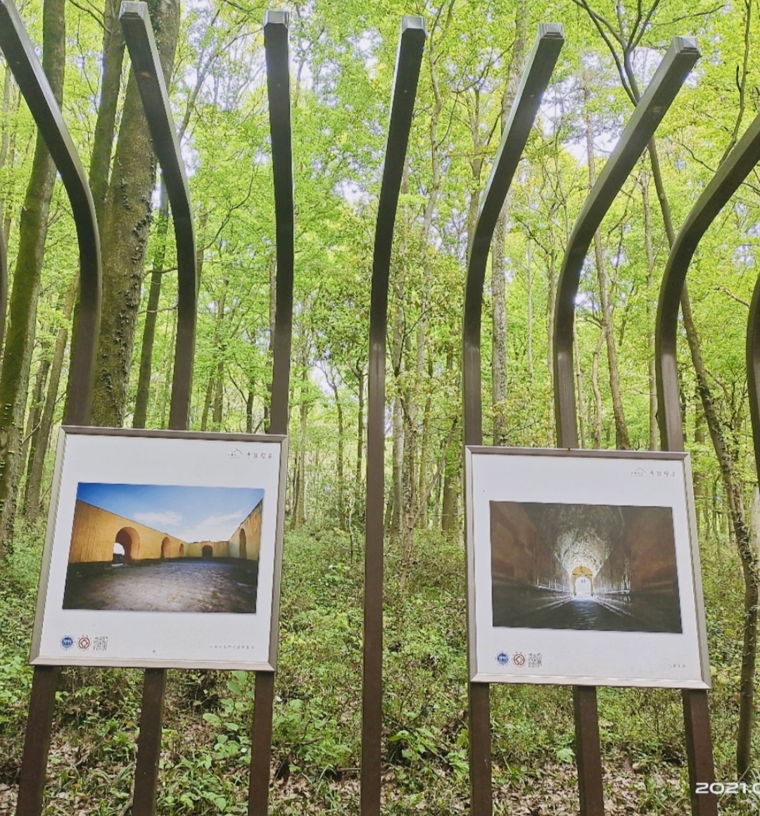 南京森林画廊