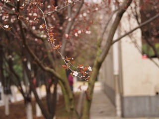 A6BB2415-D107-42C0-A62C-AA66A5A5C680/L0/001