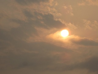 333384