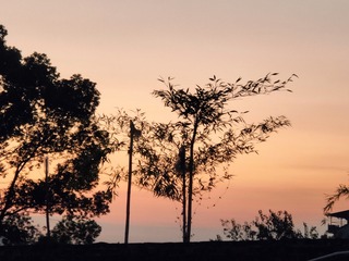 1000046272