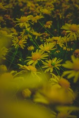 122061