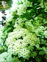DSC08677_