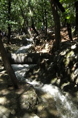 水