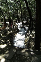 水