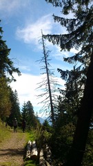 DSC_0059.jpg