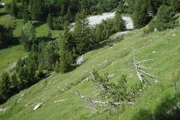 DSC07192.JPG