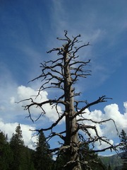 DSC07197.JPG