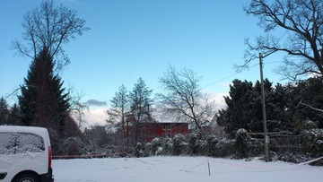 DSC_0288.jpg