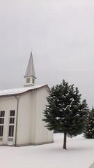 DSC_0552.jpg