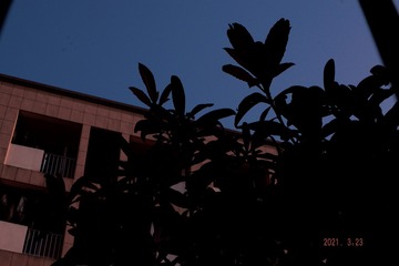 F24067CD-E372-4950-8634-682149DF5258/L0/001