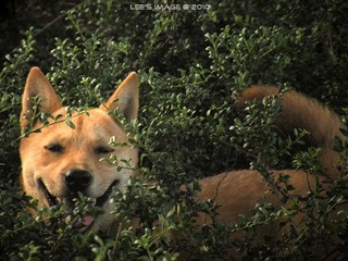DSCF0414.jpg