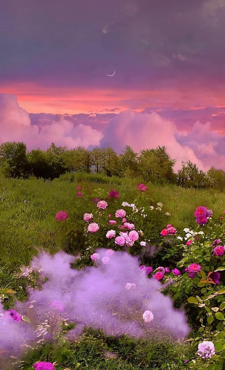 幸福美好的日子希望有你在