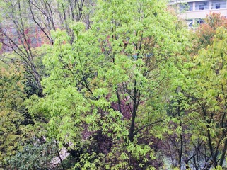 A54F7781-F0AE-4A86-A85D-F07C7F4ABA71/L0/001