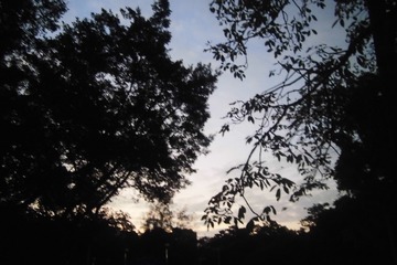 200628