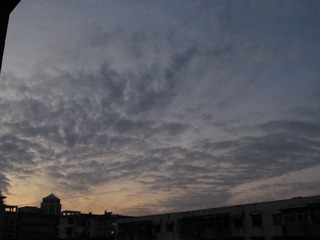 0D701535-E448-468A-956E-0E09D0642371/L0/001