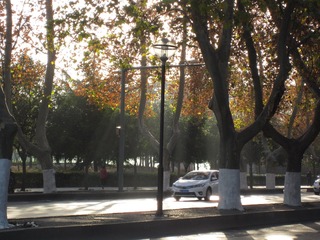 FE54CAD1-C8DC-4F55-A194-BB2568204AE1/L0/001