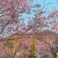 C40B3B89-2291-41AE-8462-680E2D6409A2/L0/001