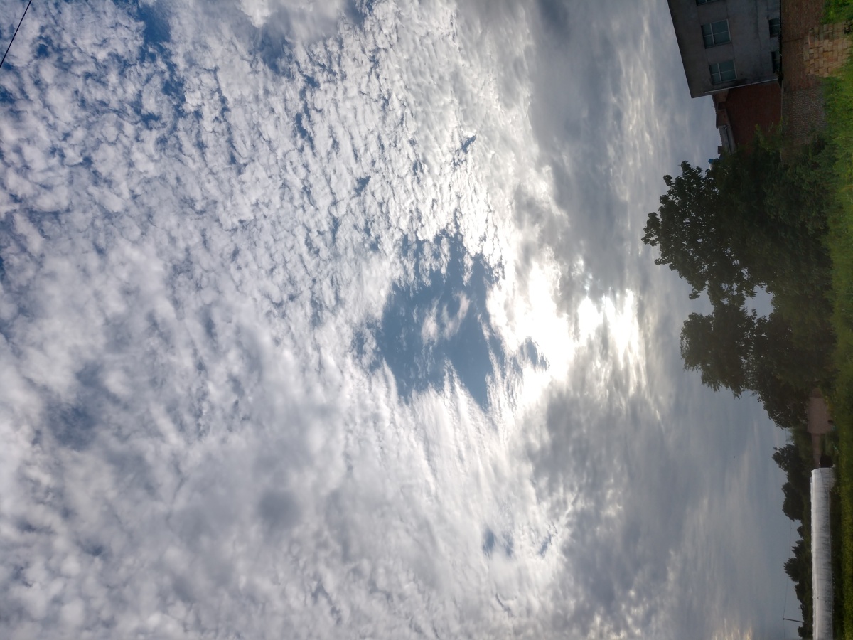 0101700460今日多云转甜每天都是不一样