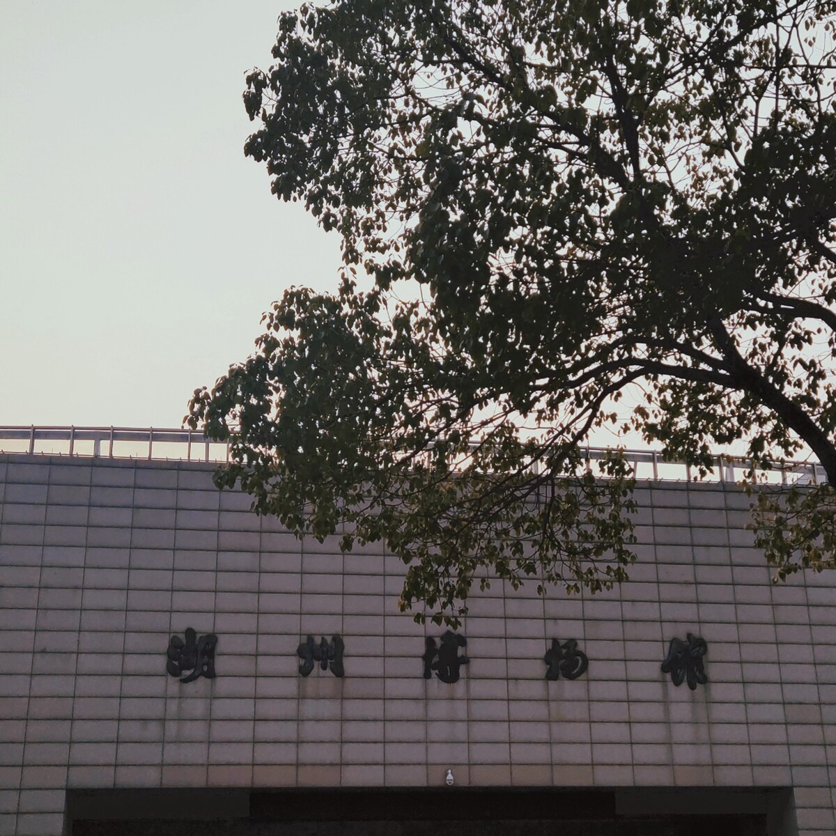 这是本人去湖州玩时拍的哦，湖州博物馆的一张照片