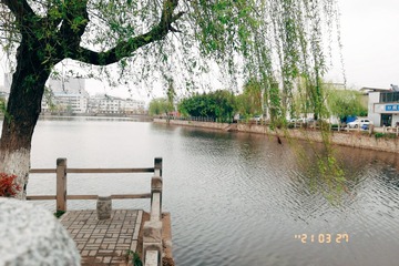 576981