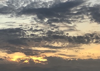 93C41F0F-06AE-4195-8B7E-E781907D2DB4/L0/001