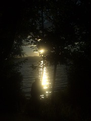 1000041586
