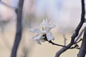 299A6104-FFC6-421C-81E2-017A30F27494/L0/001
