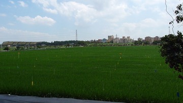 76828D2C-82CB-42A1-99F4-FE831D69878A/L0/001