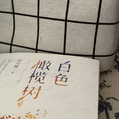 5D53DFAB-E84C-49E5-B293-D07D6AC6A0DA/L0/001